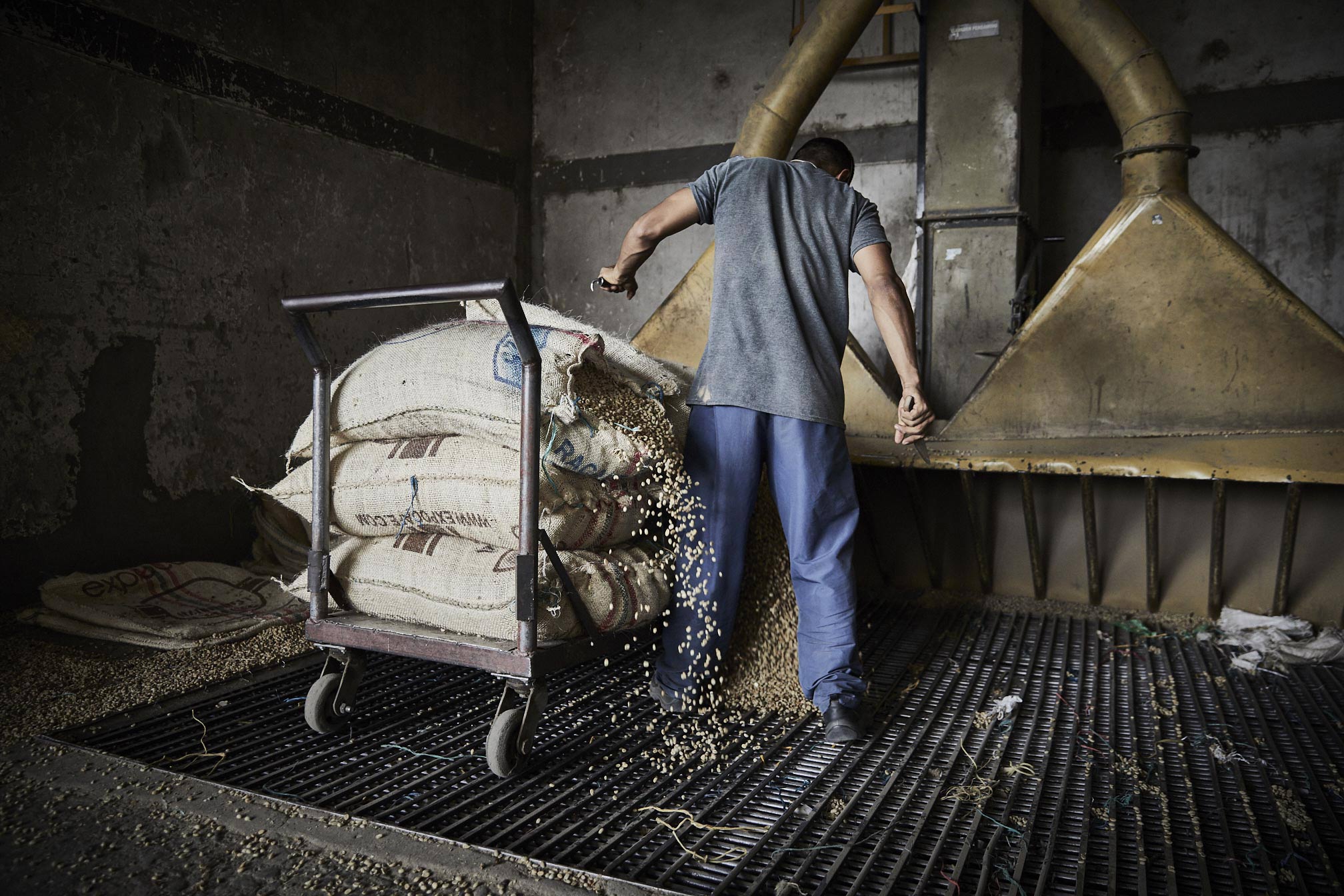Parks-Coffee_Laumayer-Dry-Mill-Workers_120