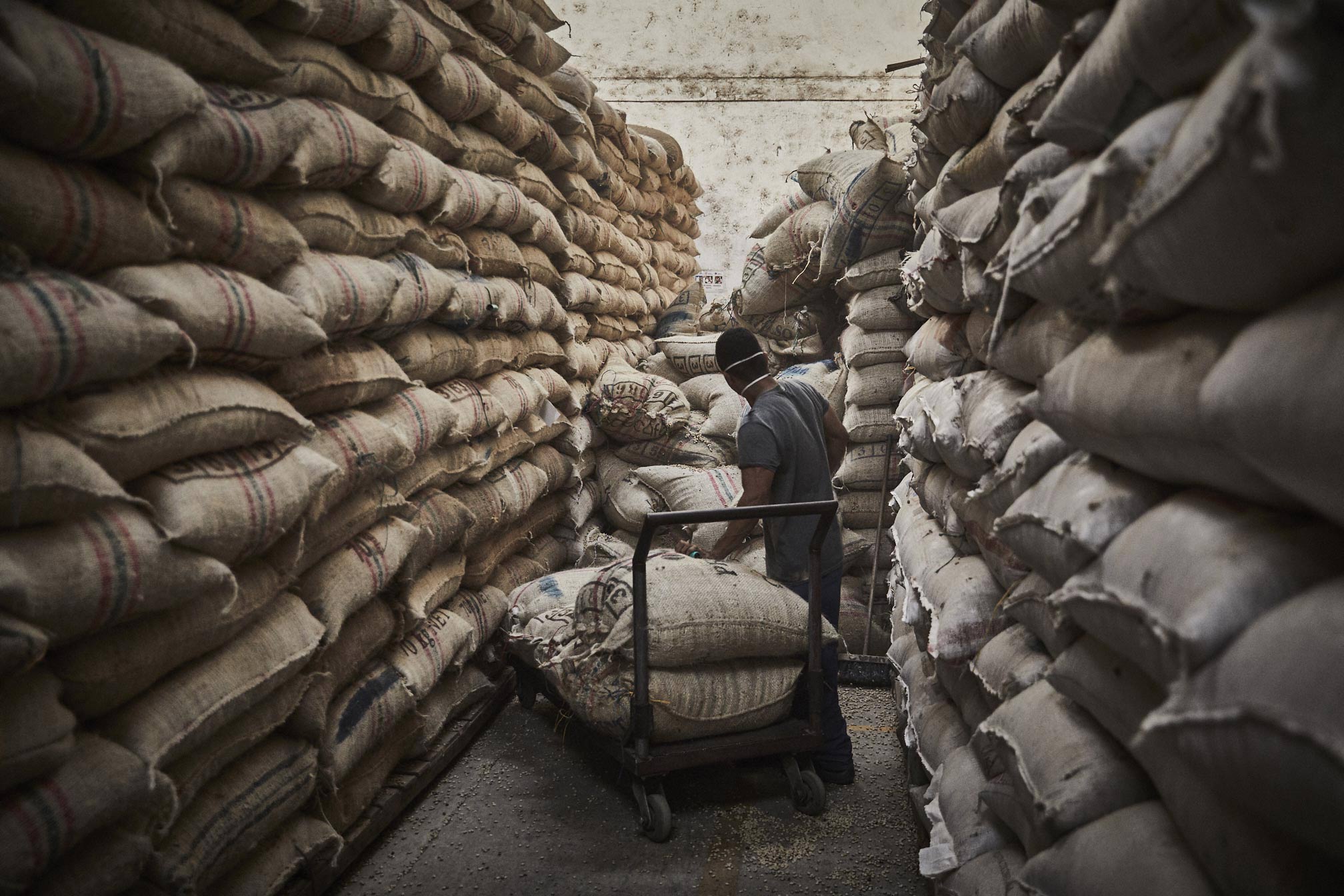 Parks-Coffee_Laumayer-Dry-Mill-Workers_150